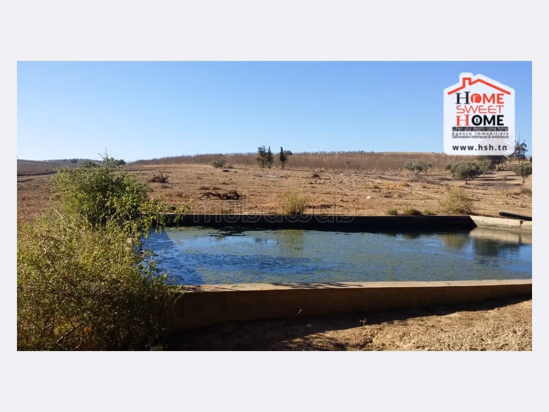 Land for sale. Area 162 m². 