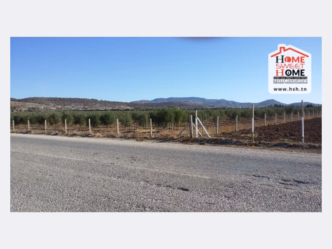 Vendita terreno. Superficie 170000 m². 