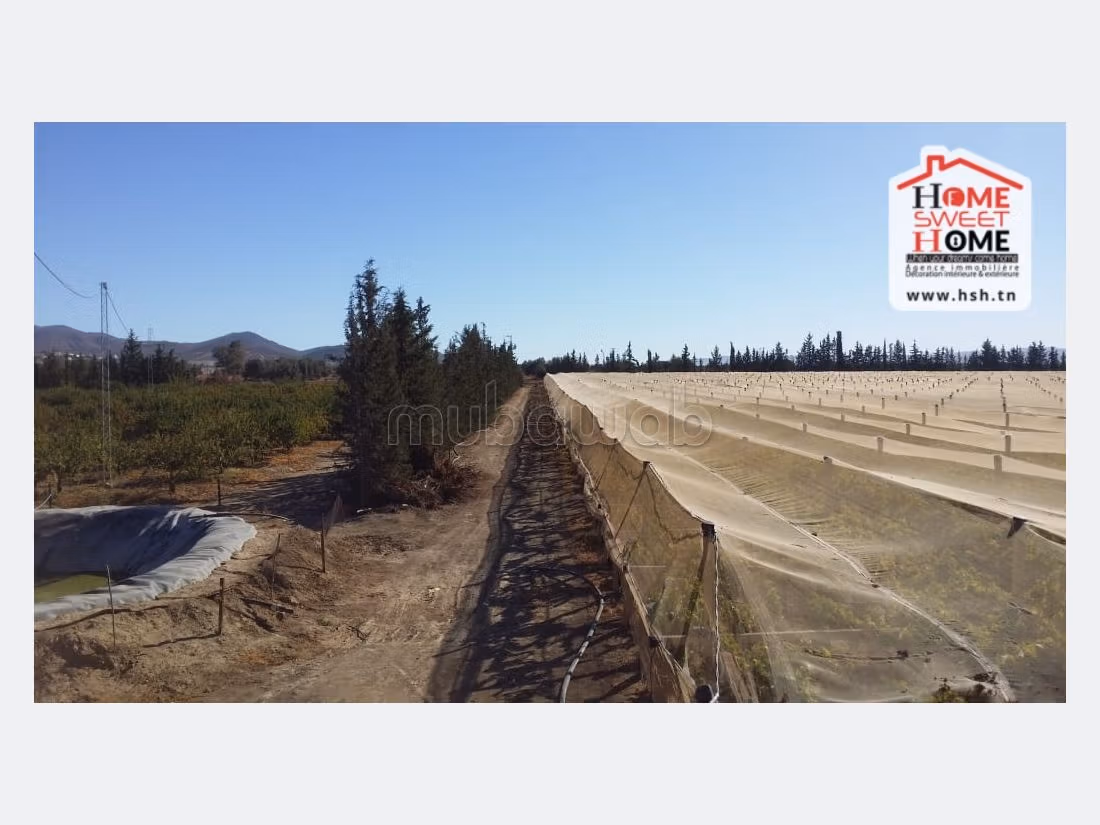 Vendita terreno. Superficie 170000 m². 