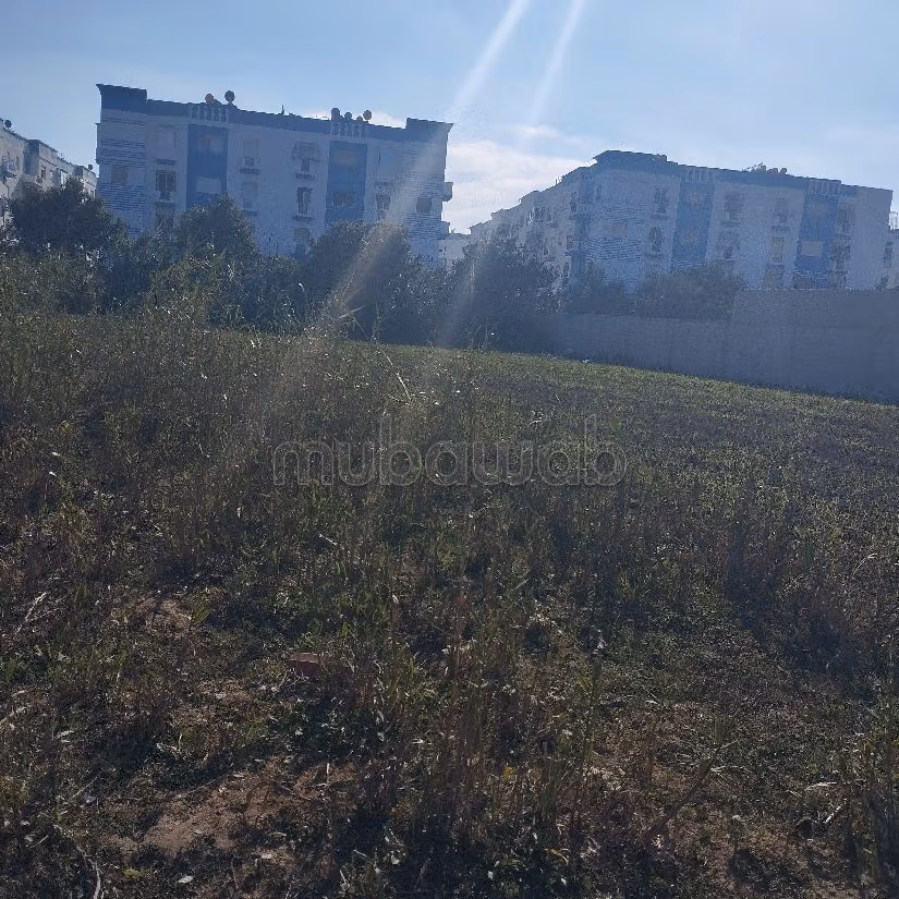 Très beau riad à vendre à Oulad Ali Mansour. Surface totale 1500 m²