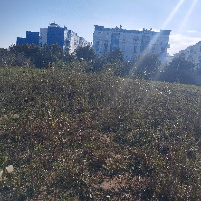 Très beau riad à vendre à Oulad Ali Mansour. Surface totale 1500 m²