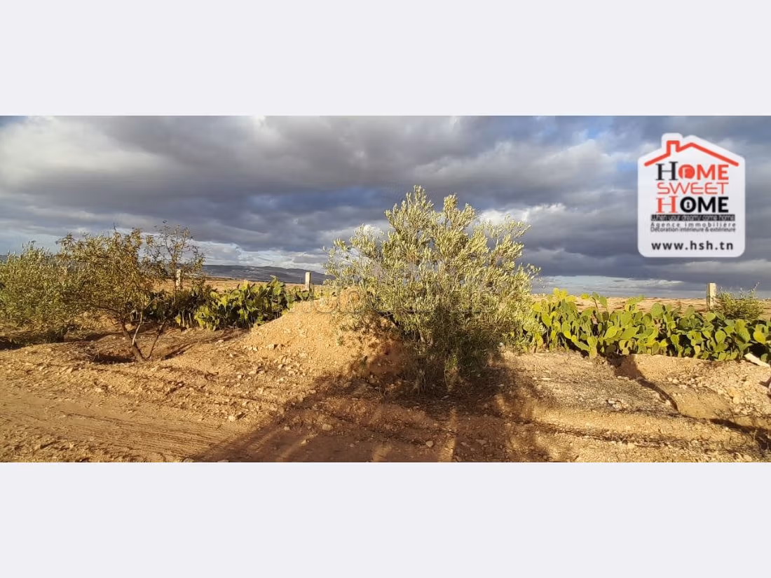 Terrain Agricole Iyad à Vendre à Kef