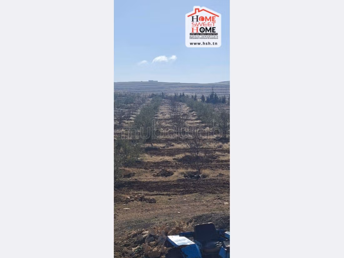Terrain Agricole Iyad à Vendre à Kef