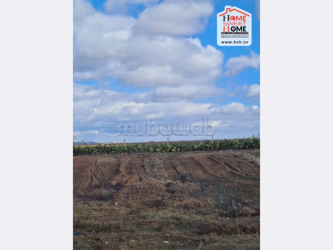 Terrain Agricole Iyad à Vendre à Kef