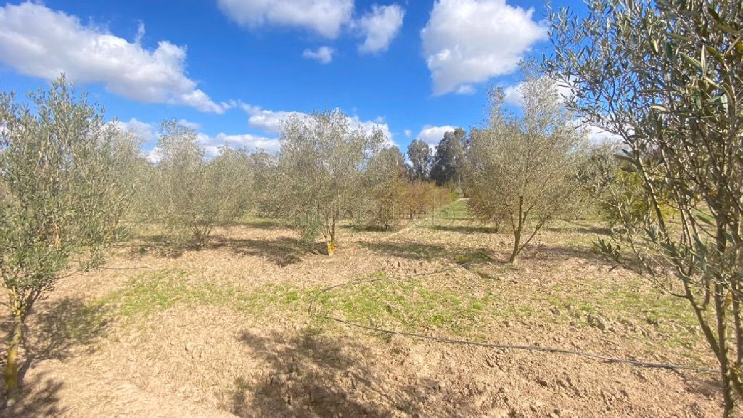 Trova la fattoria ideale a Golf de Benslimane. Superficie totale 10000 m². Garage privato. 