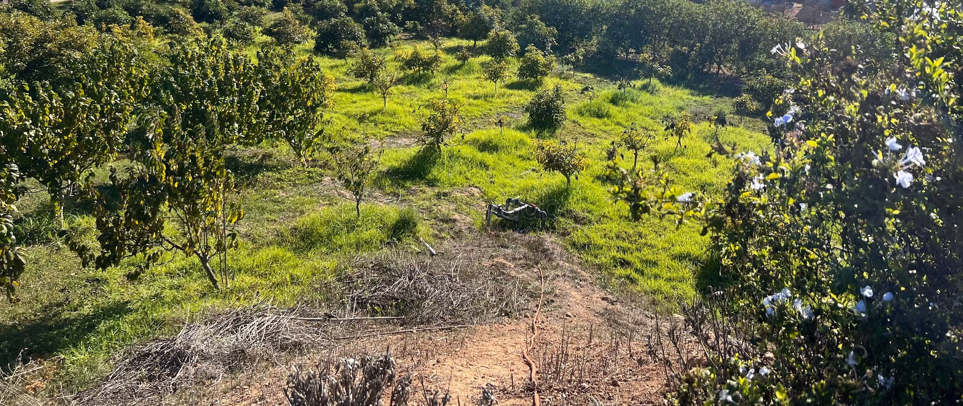 Fattoria in vendita a Technopolis. Superficie totale 13500 m².