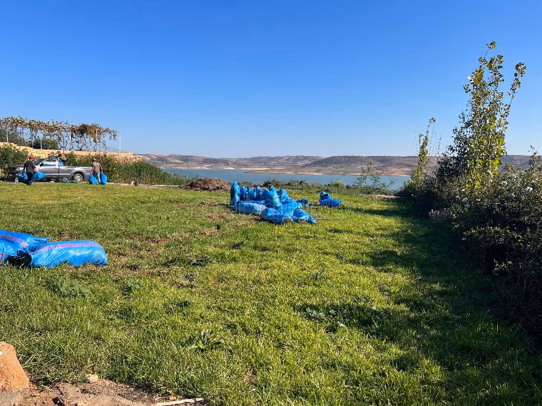 Fattoria in vendita a Technopolis. Superficie totale 13500 m².