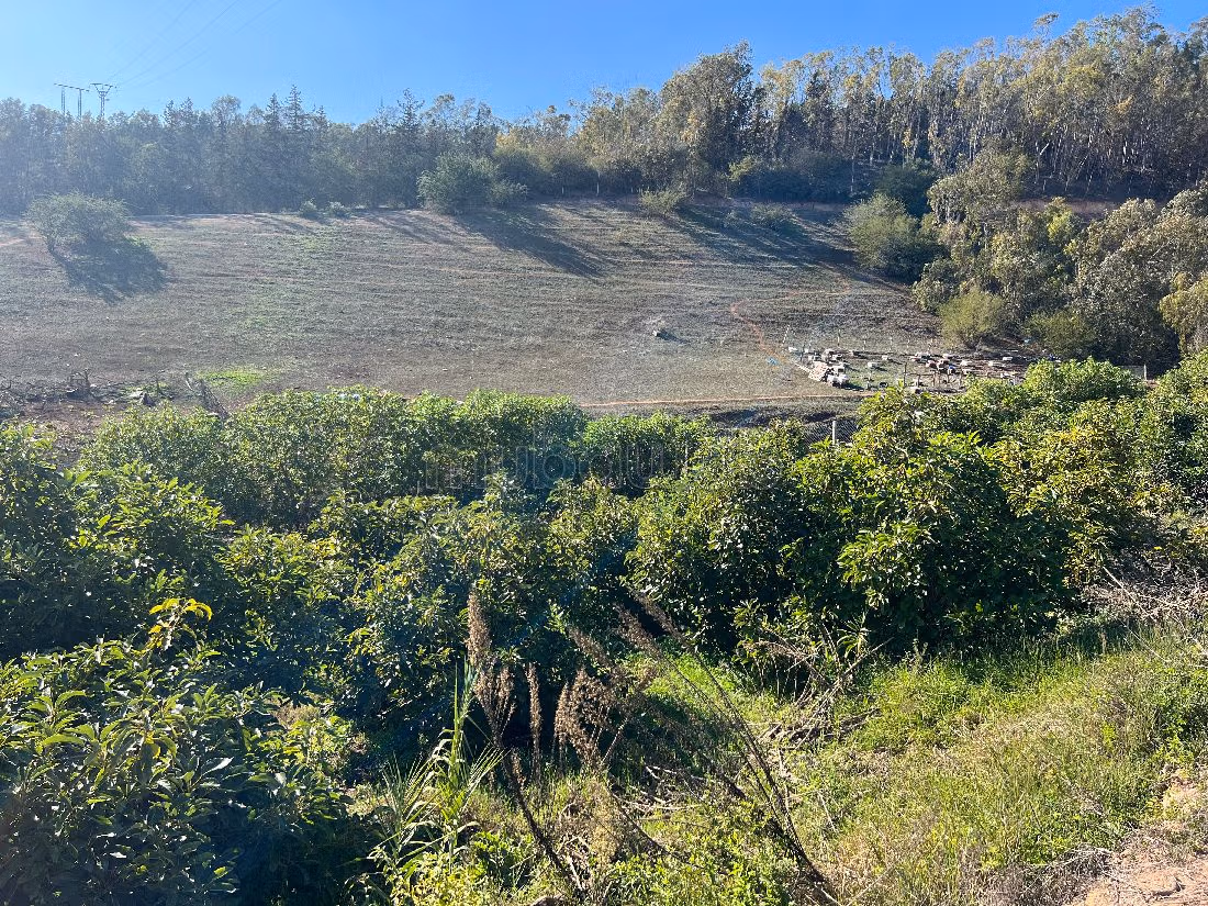 Fattoria in vendita a Technopolis. Superficie totale 13500 m².