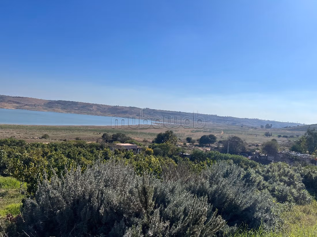 Fattoria in vendita a Technopolis. Superficie totale 13500 m².