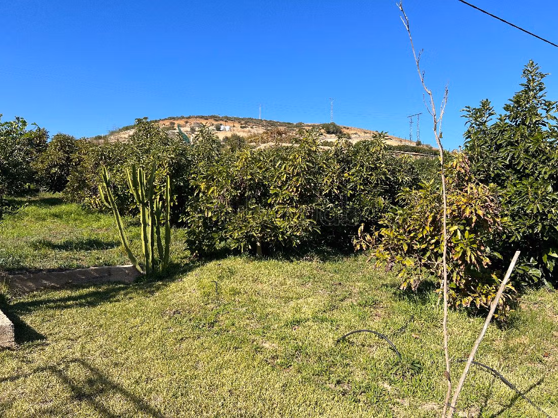 Fattoria in vendita a Technopolis. Superficie totale 13500 m².