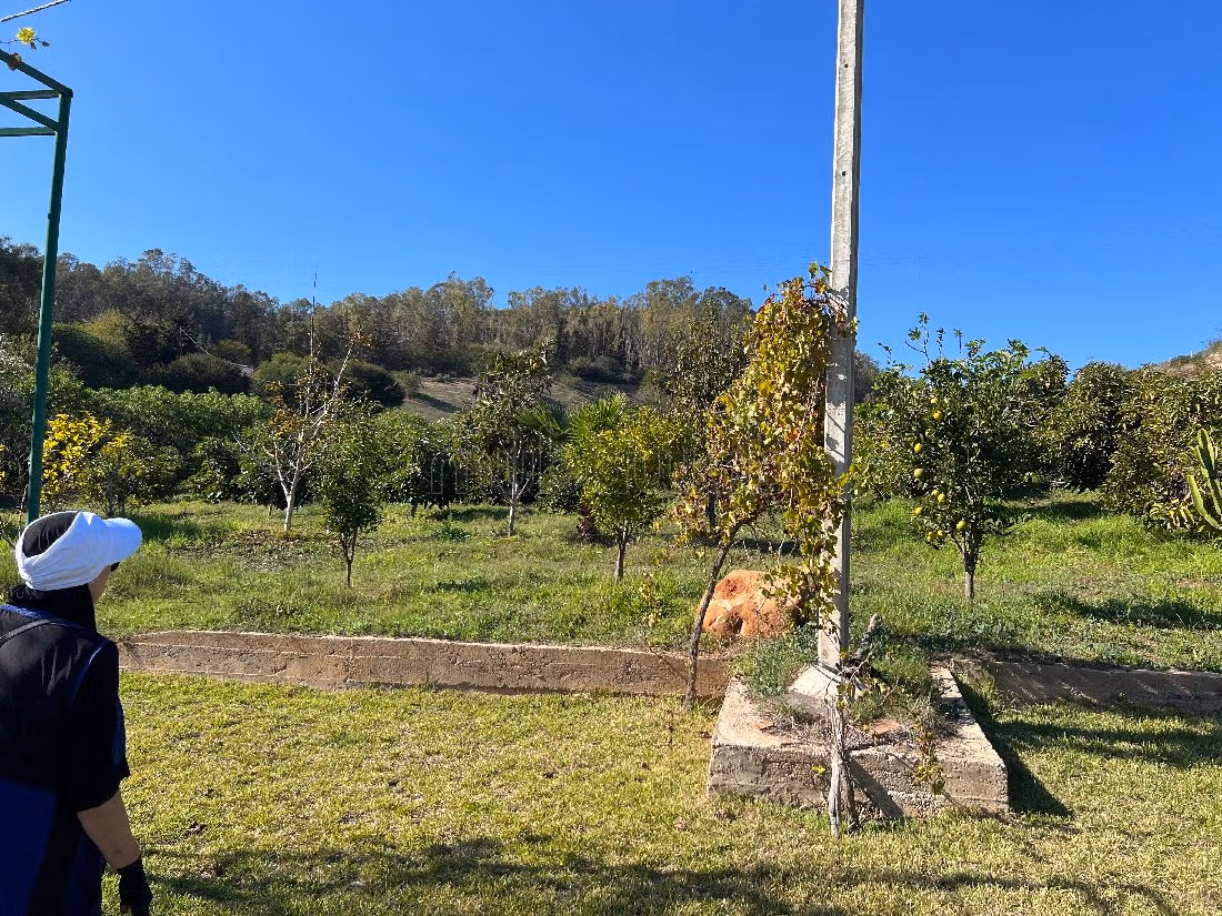 Fattoria in vendita a Technopolis. Superficie totale 13500 m².