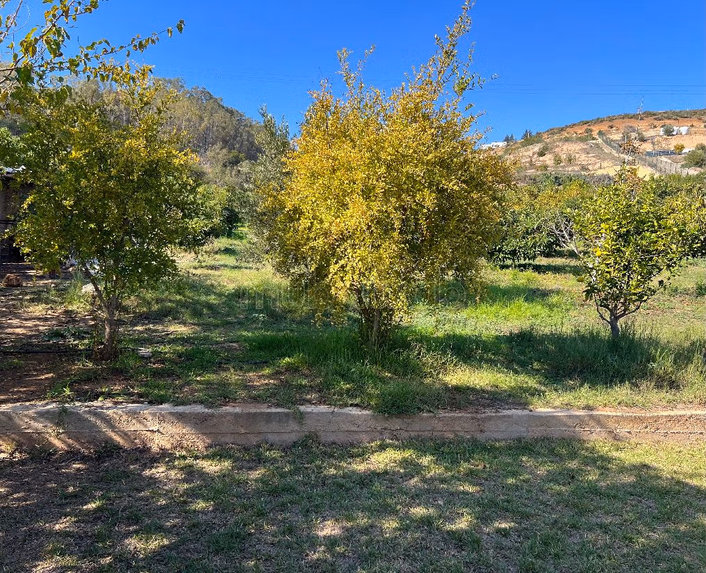 Fattoria in vendita a Technopolis. Superficie totale 13500 m².