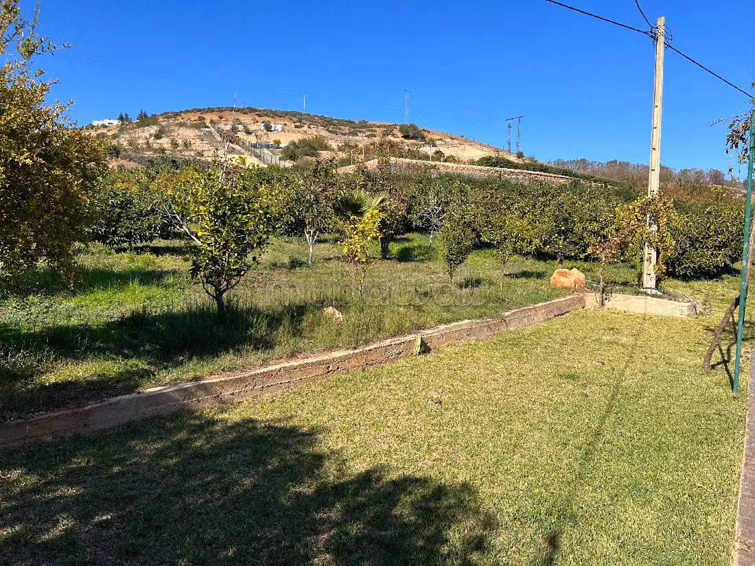 Fattoria in vendita a Technopolis. Superficie totale 13500 m².