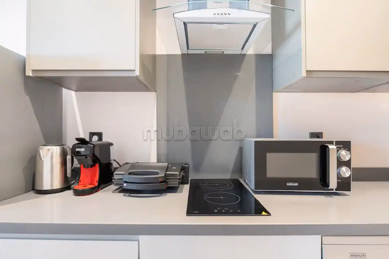 Flat for rent in Triangle d'Or. 2 beautiful rooms. Parking spaces and terrace