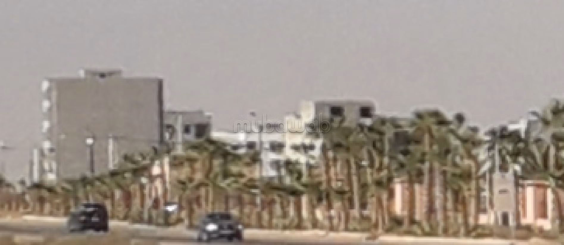 Land for sale. Surface area 20000 m². 