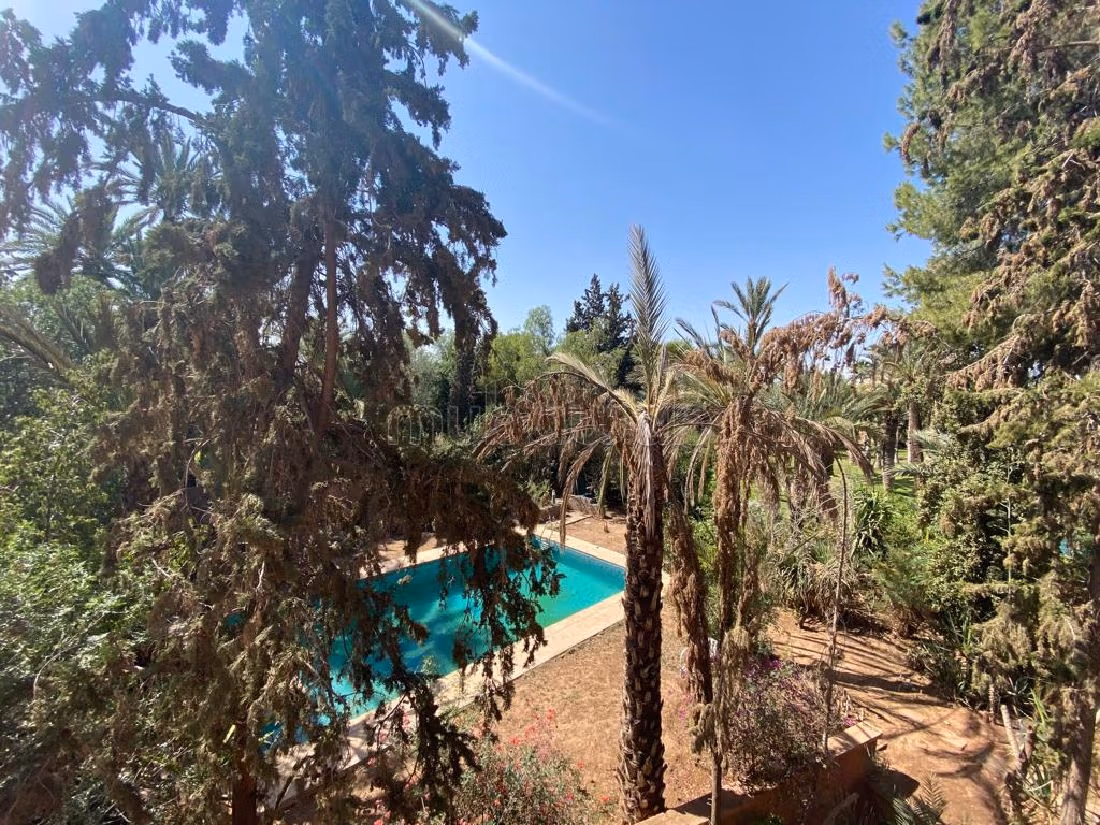 Villa à Rénover à Vendre – Palmeraie Marrakech, Terrain 2000 m², Piscine et Charme Authentique