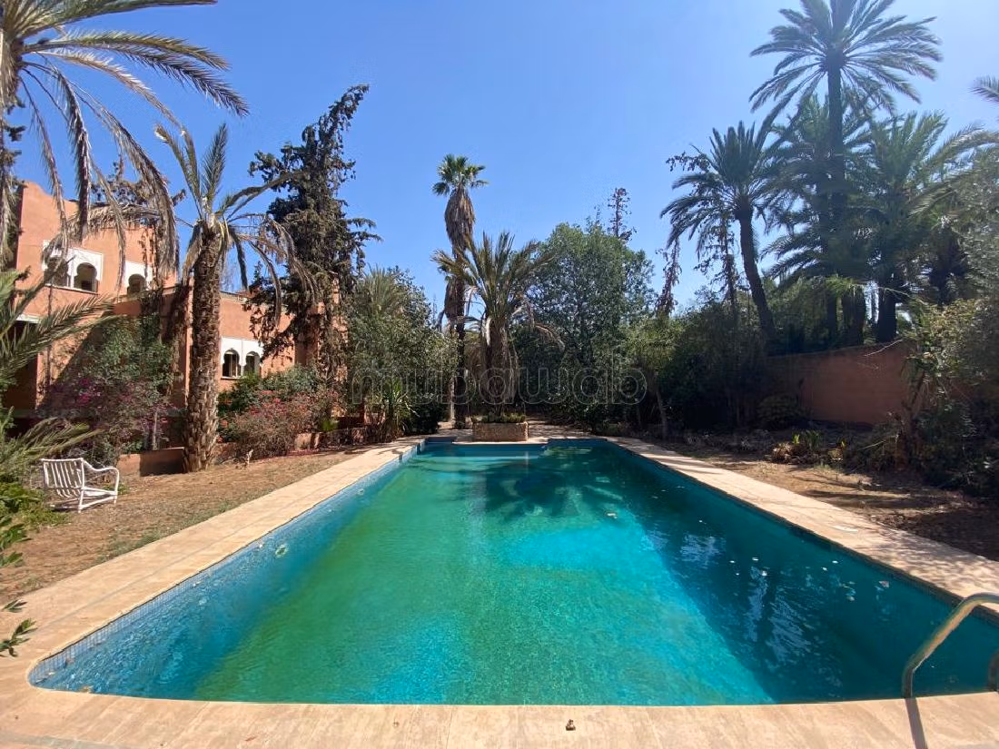 Villa à Rénover à Vendre – Palmeraie Marrakech, Terrain 2000 m², Piscine et Charme Authentique