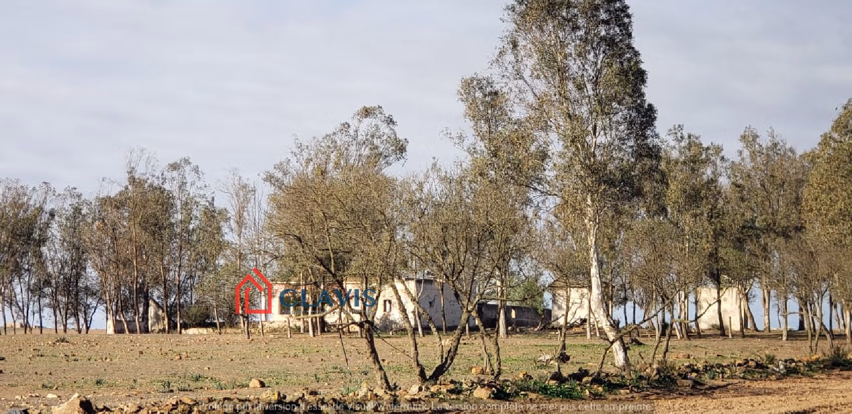 مزرعة رائعة للبيع بالبير الجديد. المساحة الكلية 51700 م²