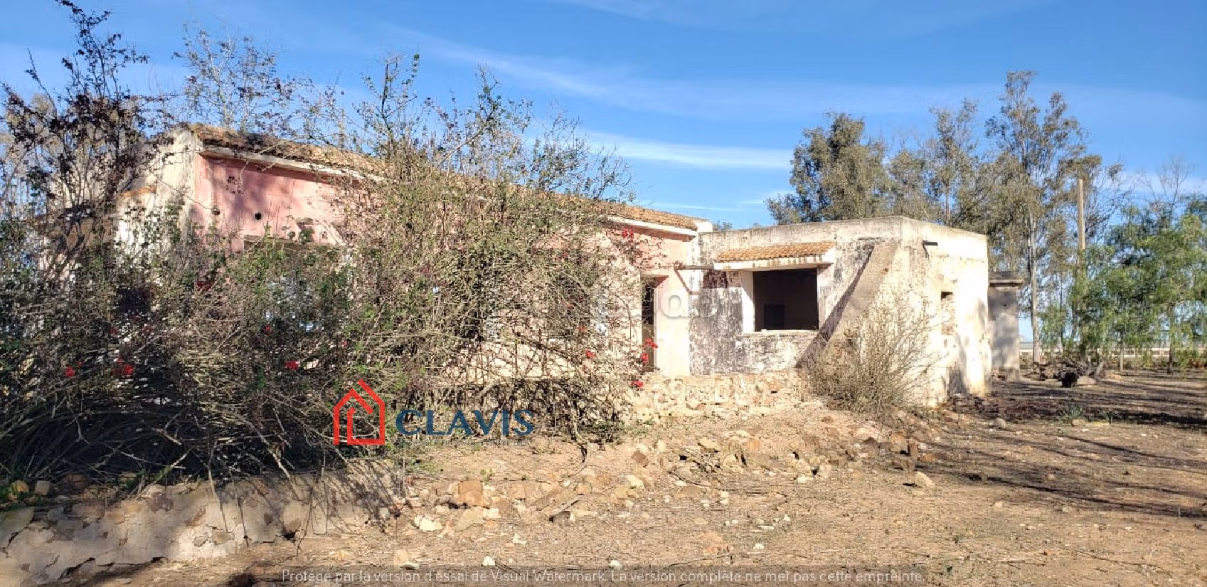 مزرعة رائعة للبيع بالبير الجديد. المساحة الكلية 51700 م²