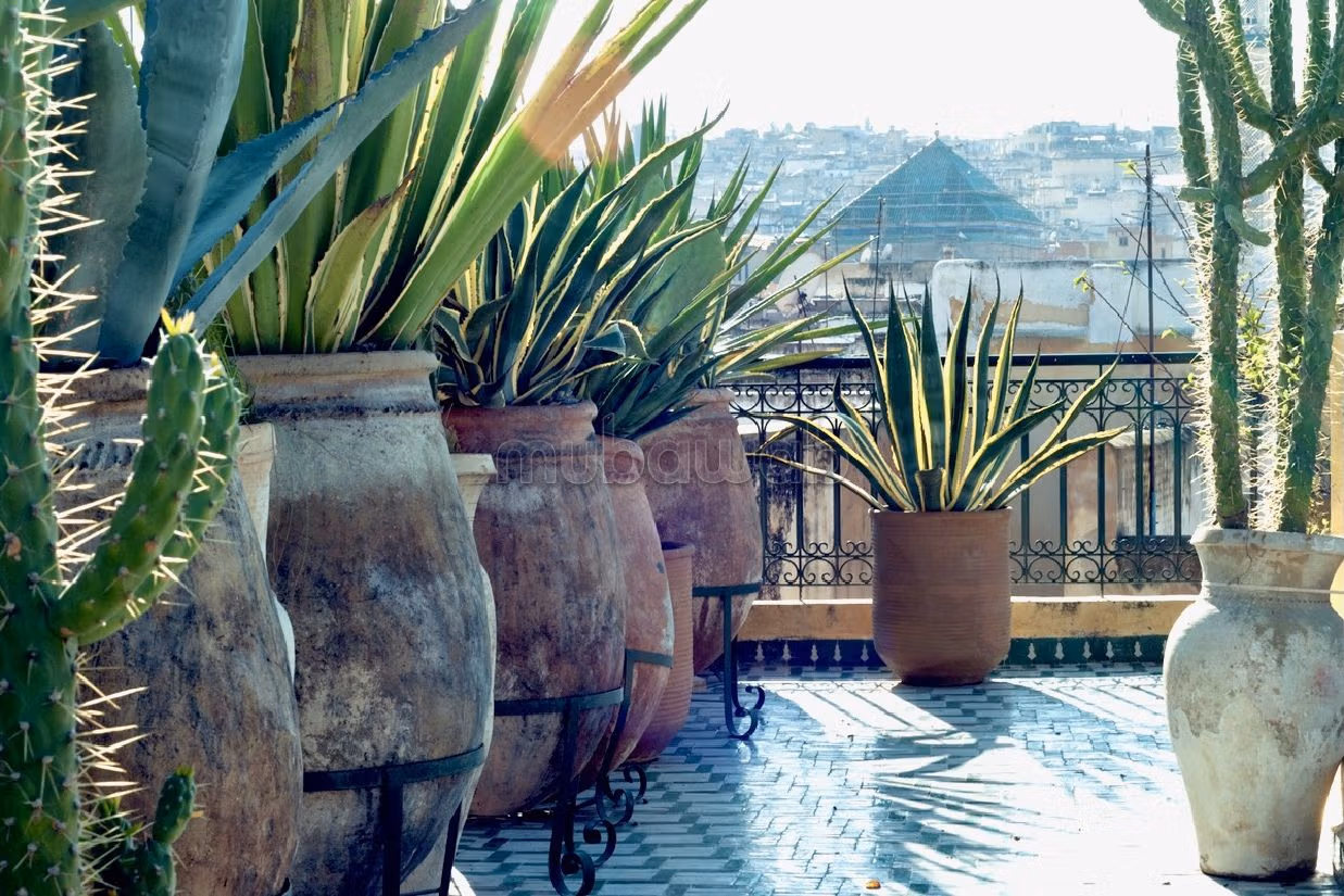 Riad a fes a l'ancienne medina