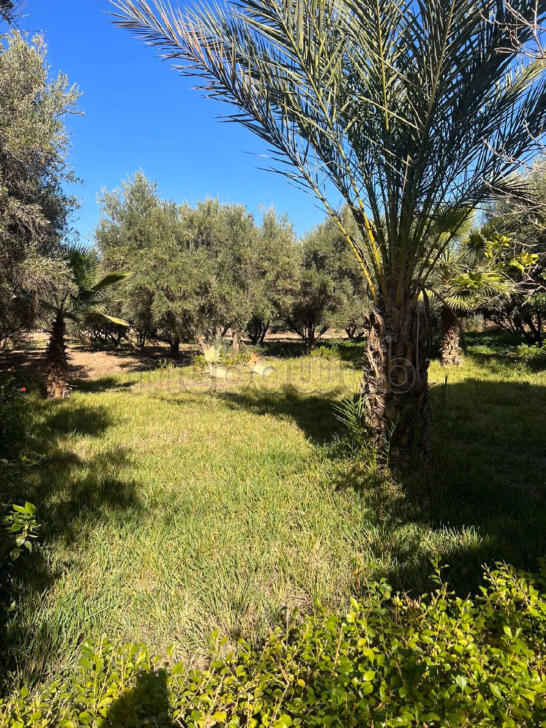 Te koop: boerderijen in Route de l'Ourika. Totale oppervlakte 20000 m². 
