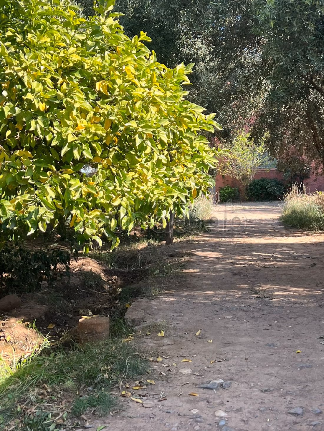 Te koop: boerderijen in Route de l'Ourika. Totale oppervlakte 20000 m². 
