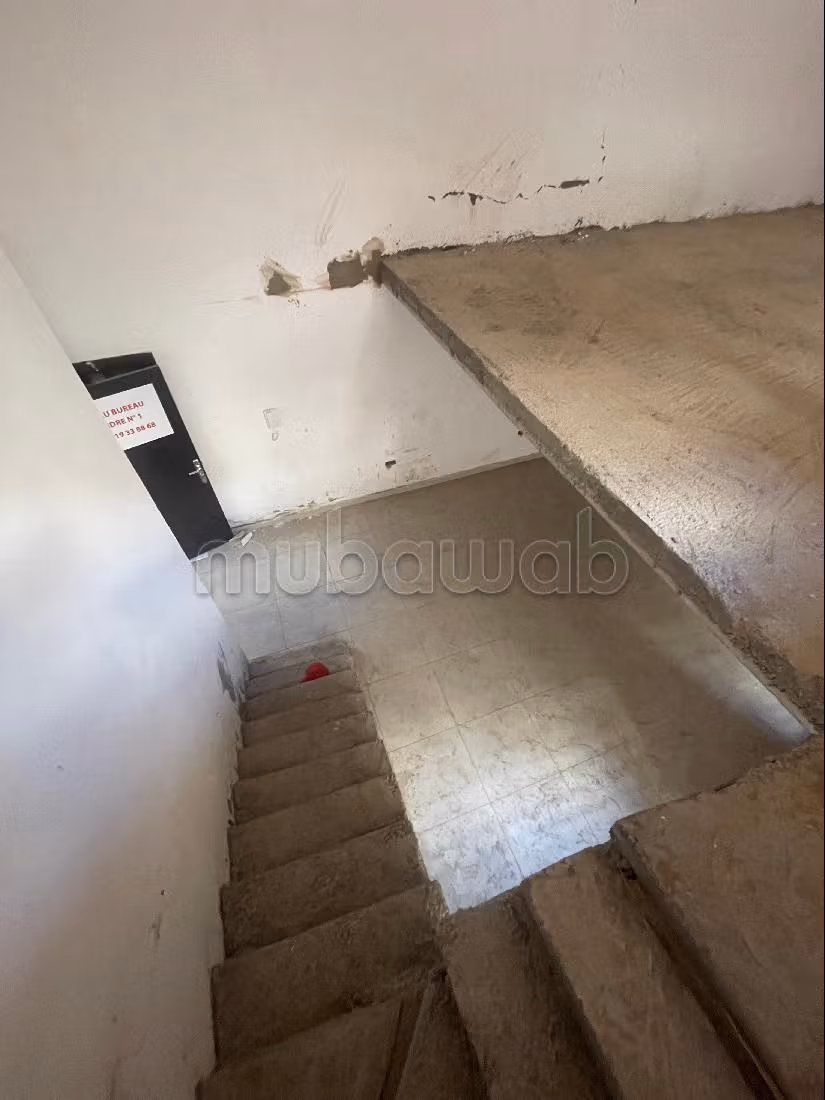 حداءق أبرار شارع كماسة المحاميد