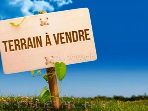 A vendre Villa 1000 M 2 a raser à Californie