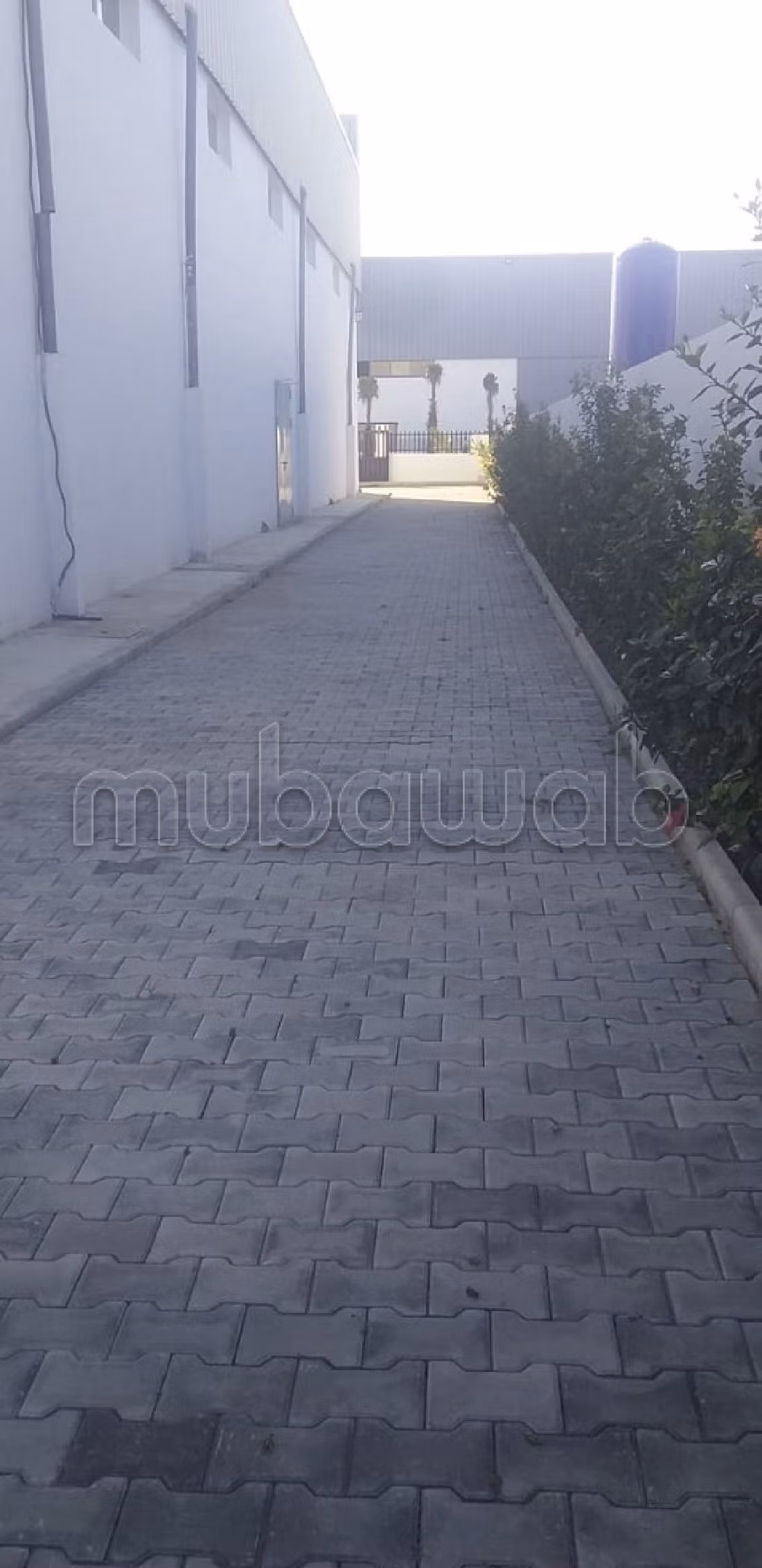 Oficinas y locales comerciales en venta. Dimensión 2000 m². 