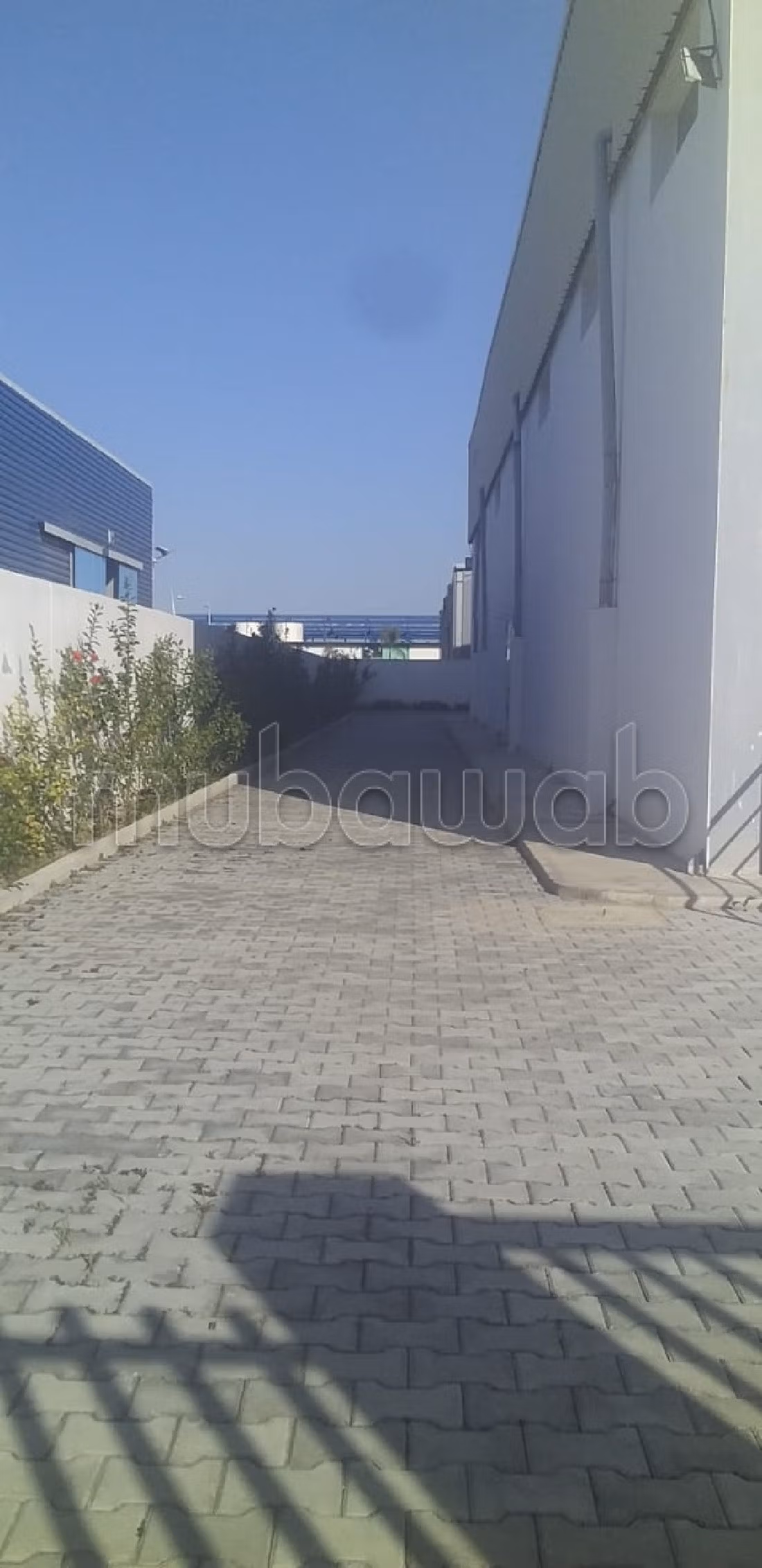 Oficinas y locales comerciales en venta. Dimensión 2000 m². 