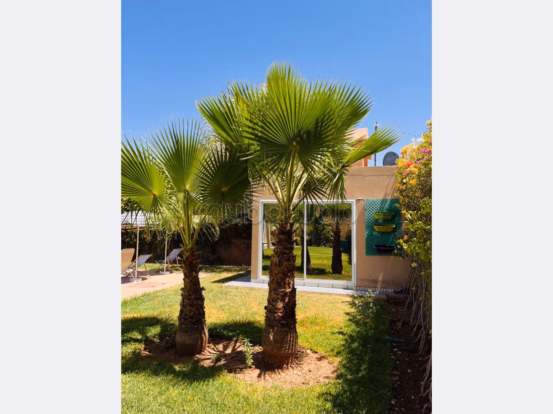 Beautiful villa with pool for sublease or sale