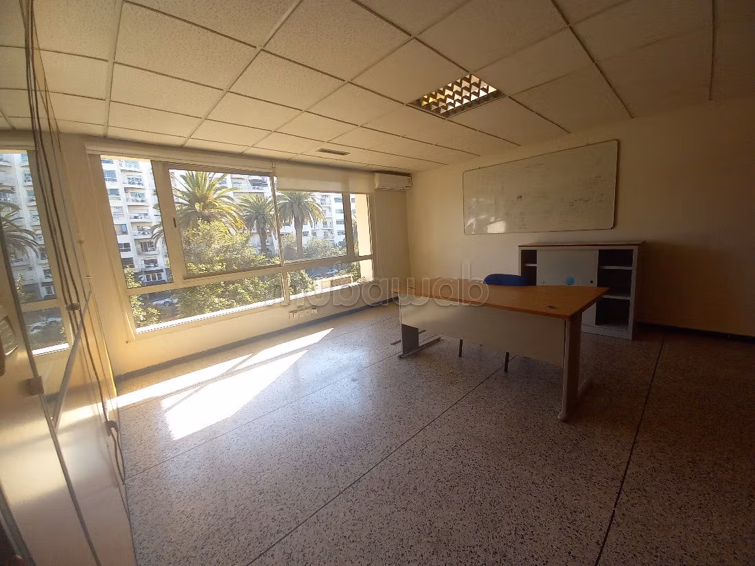 Comodo ufficio in affitto a Palmier. Superficie 483 m². Impianto di aria condizionata e servizio di conciergerie. 