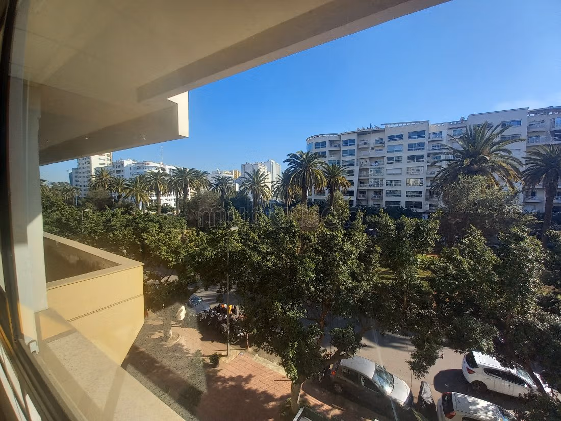 Comodo ufficio in affitto a Palmier. Superficie 483 m². Impianto di aria condizionata e servizio di conciergerie. 