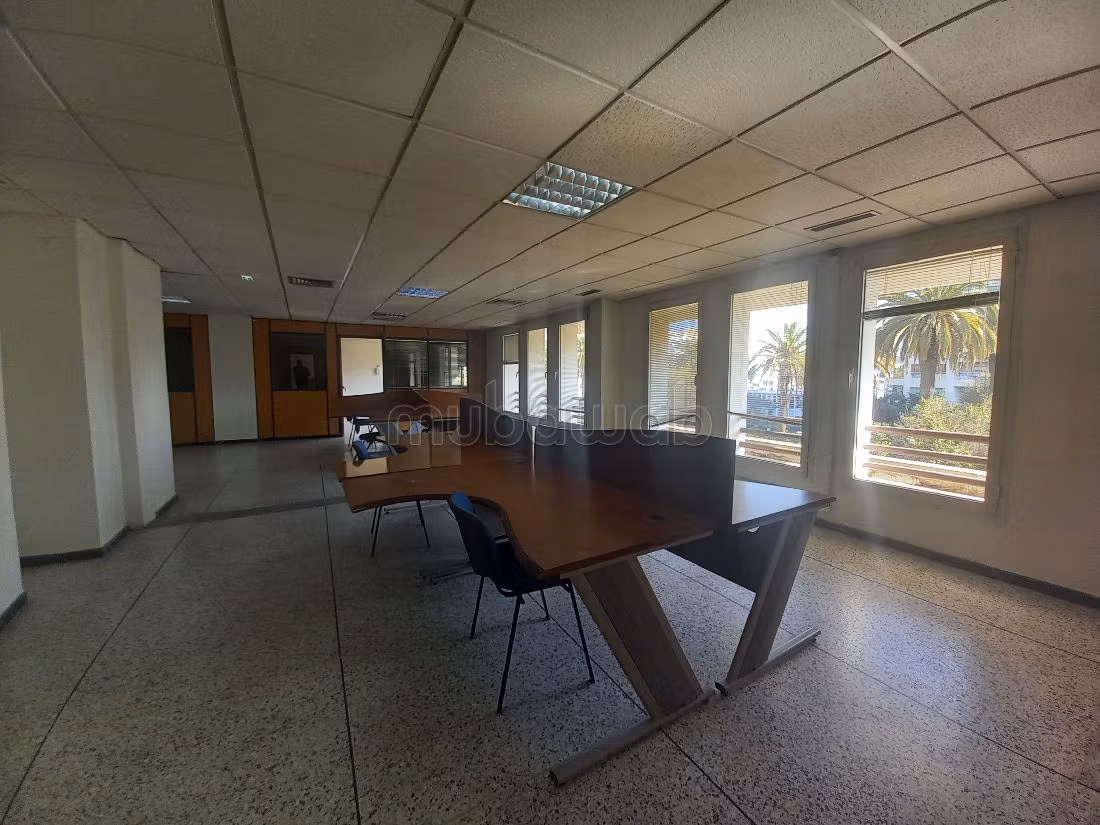 Comodo ufficio in affitto a Palmier. Superficie 483 m². Impianto di aria condizionata e servizio di conciergerie. 