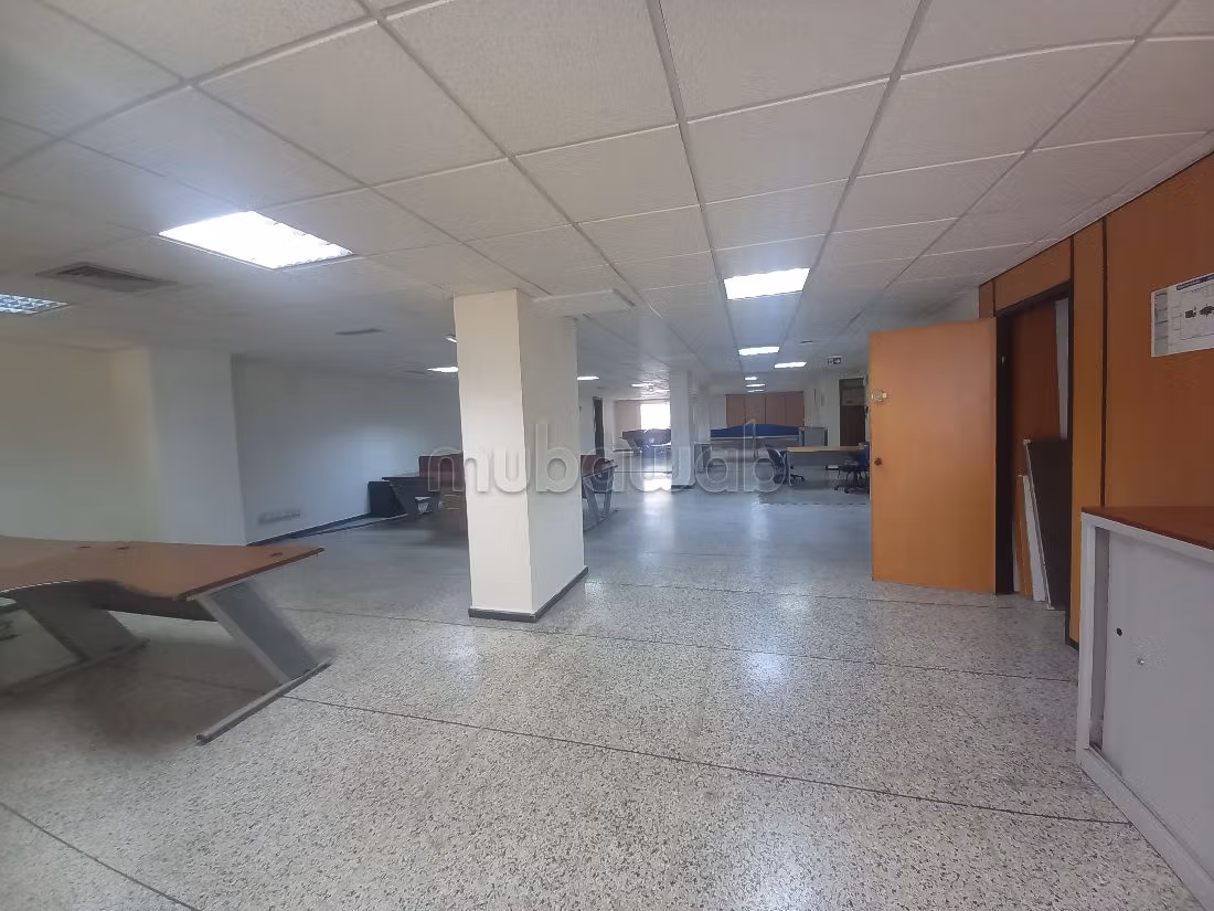 Comodo ufficio in affitto a Palmier. Superficie 483 m². Impianto di aria condizionata e servizio di conciergerie. 