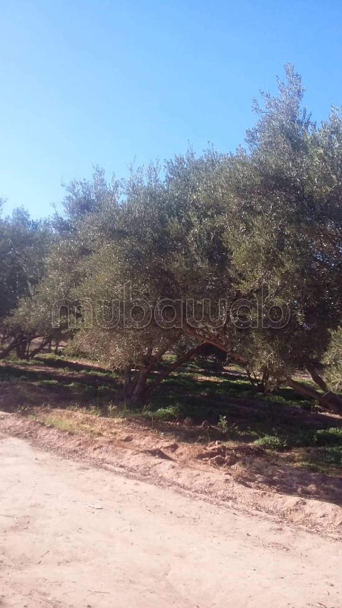 Land for sale in Route de Fez. Surface area 40000 m². 
