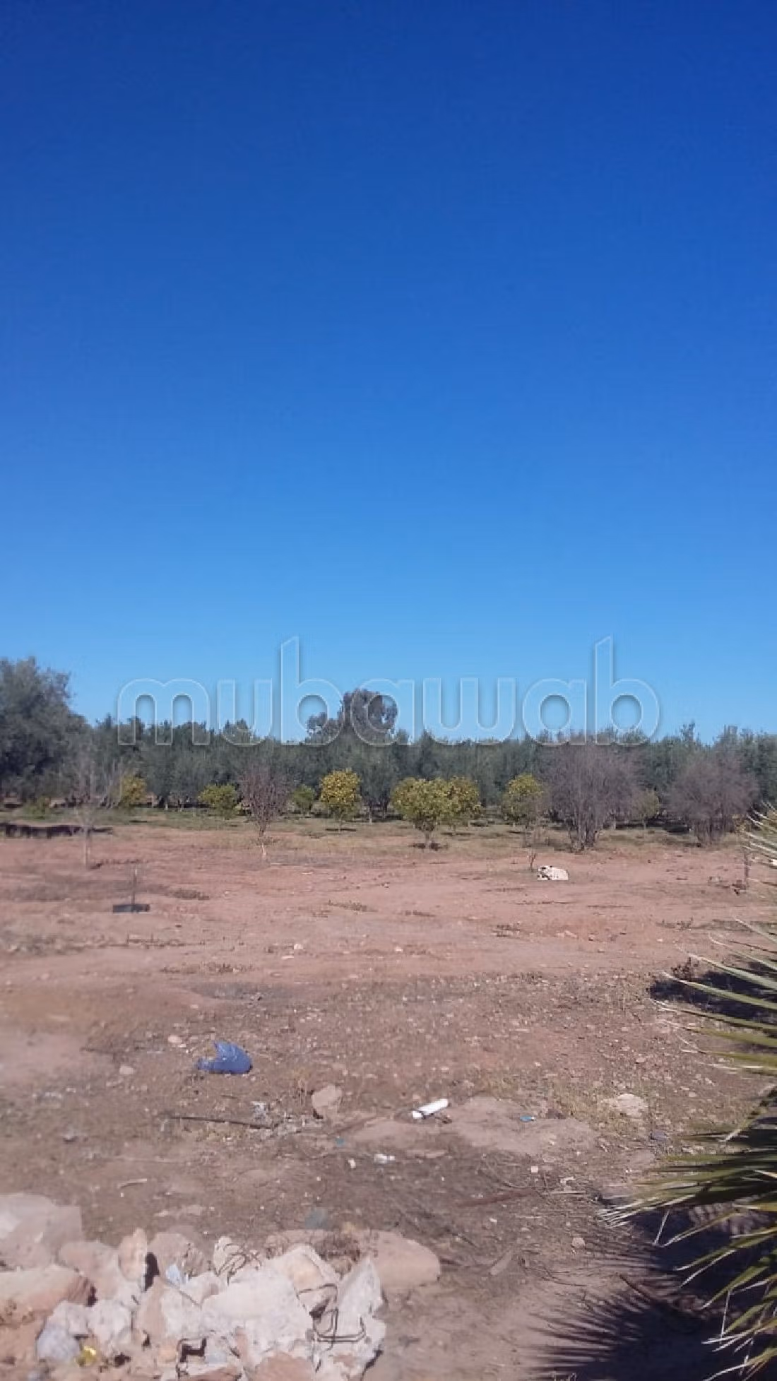 Land for sale in Route de Fez. Surface area 40000 m². 