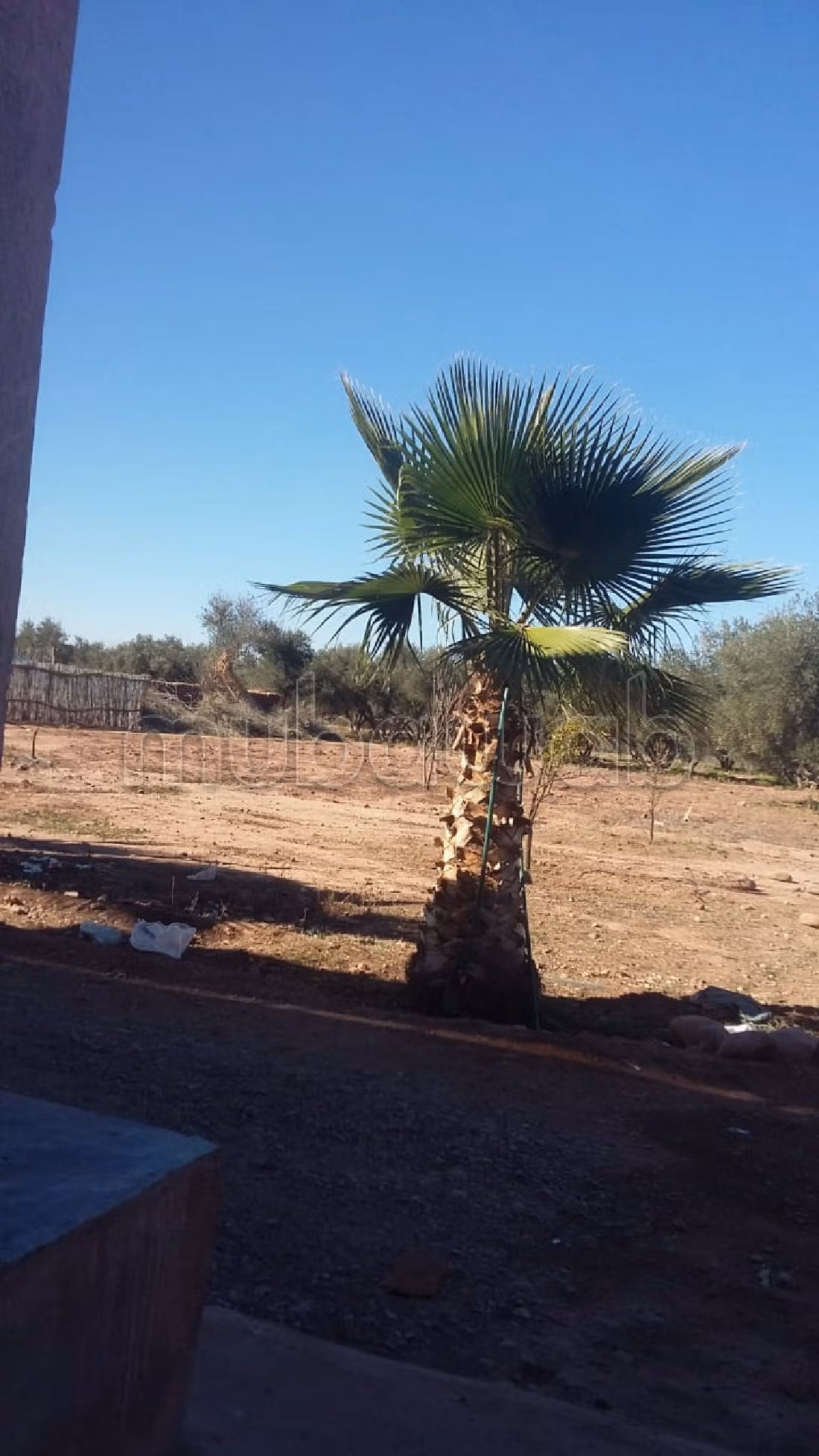 Land for sale in Route de Fez. Surface area 40000 m². 