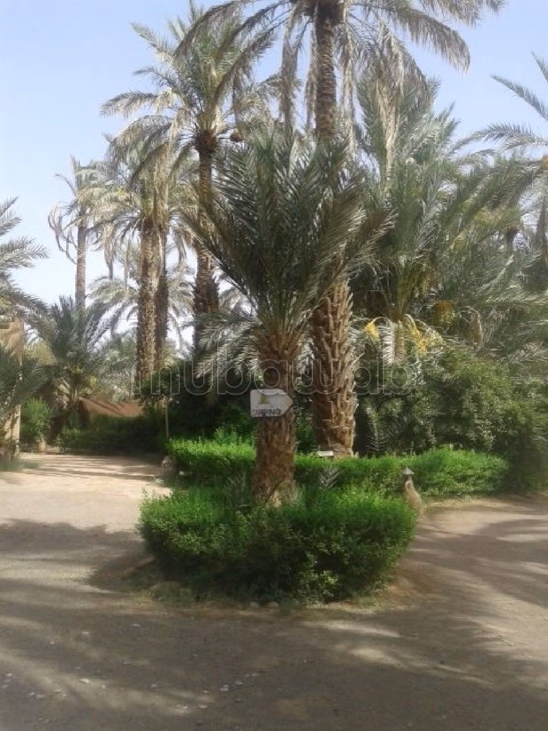 Land for sale. Dimension 3000 m².