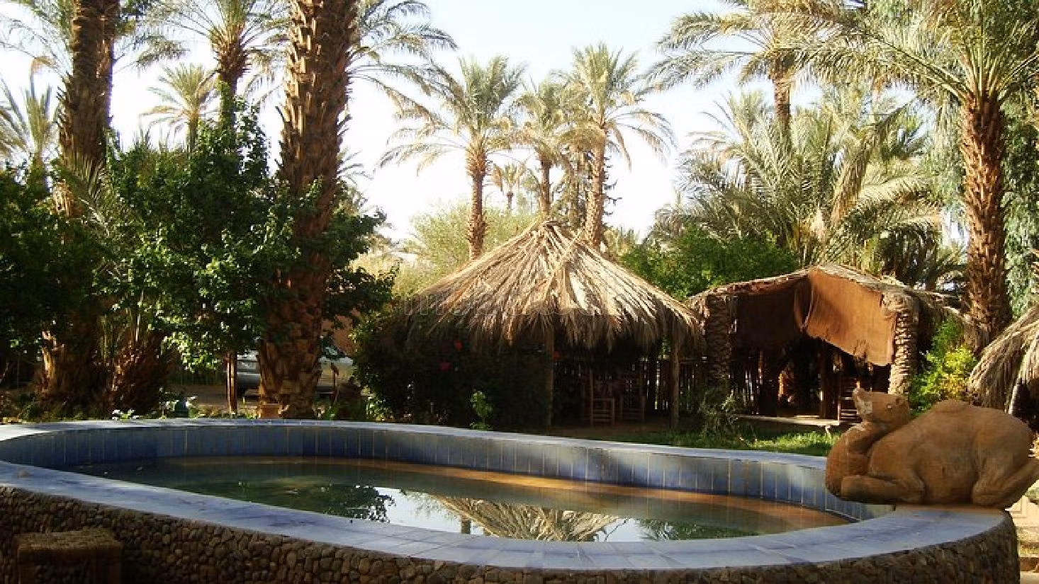 Land for sale. Dimension 3000 m².