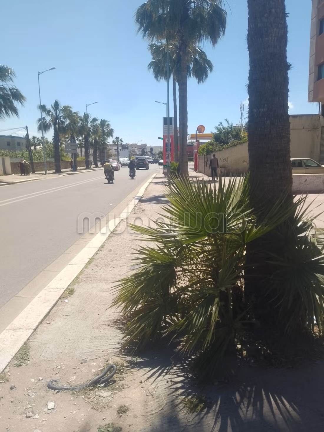 Habit immobilier met en vente un local commercial avec mezzanine