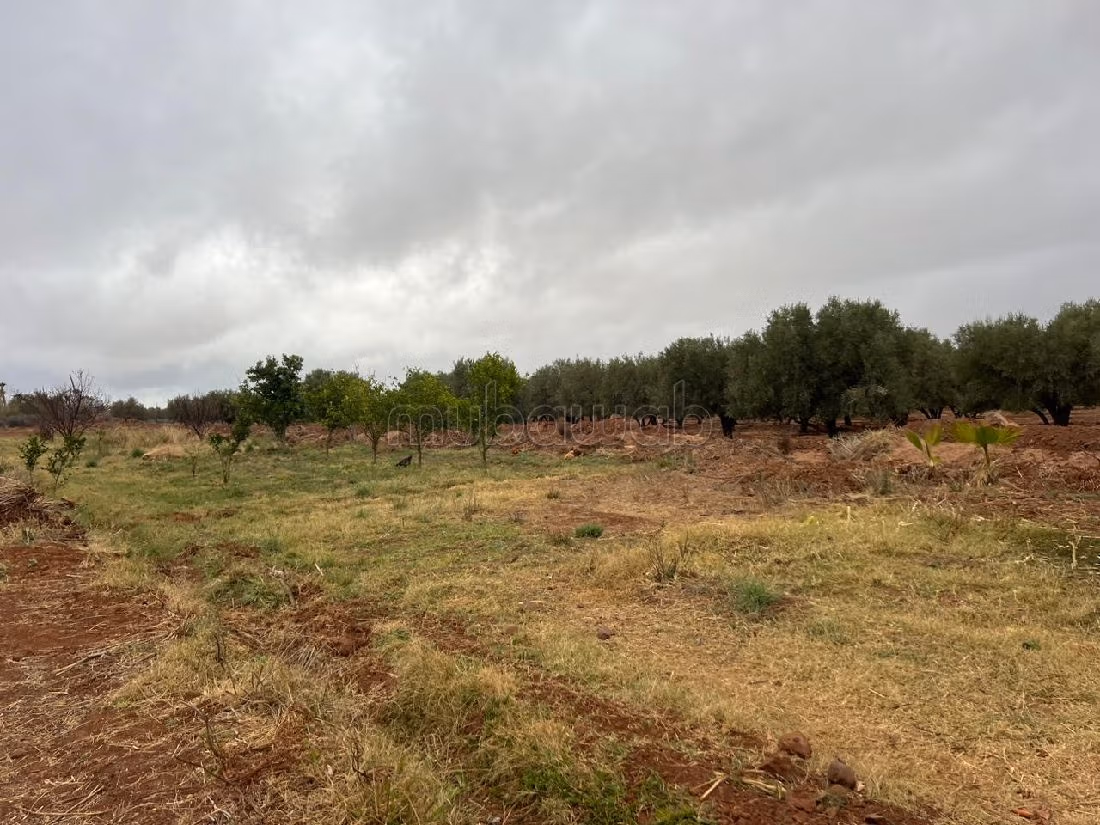 Terreno en venta en Route de l'Ourika. Área total 60000 m². 