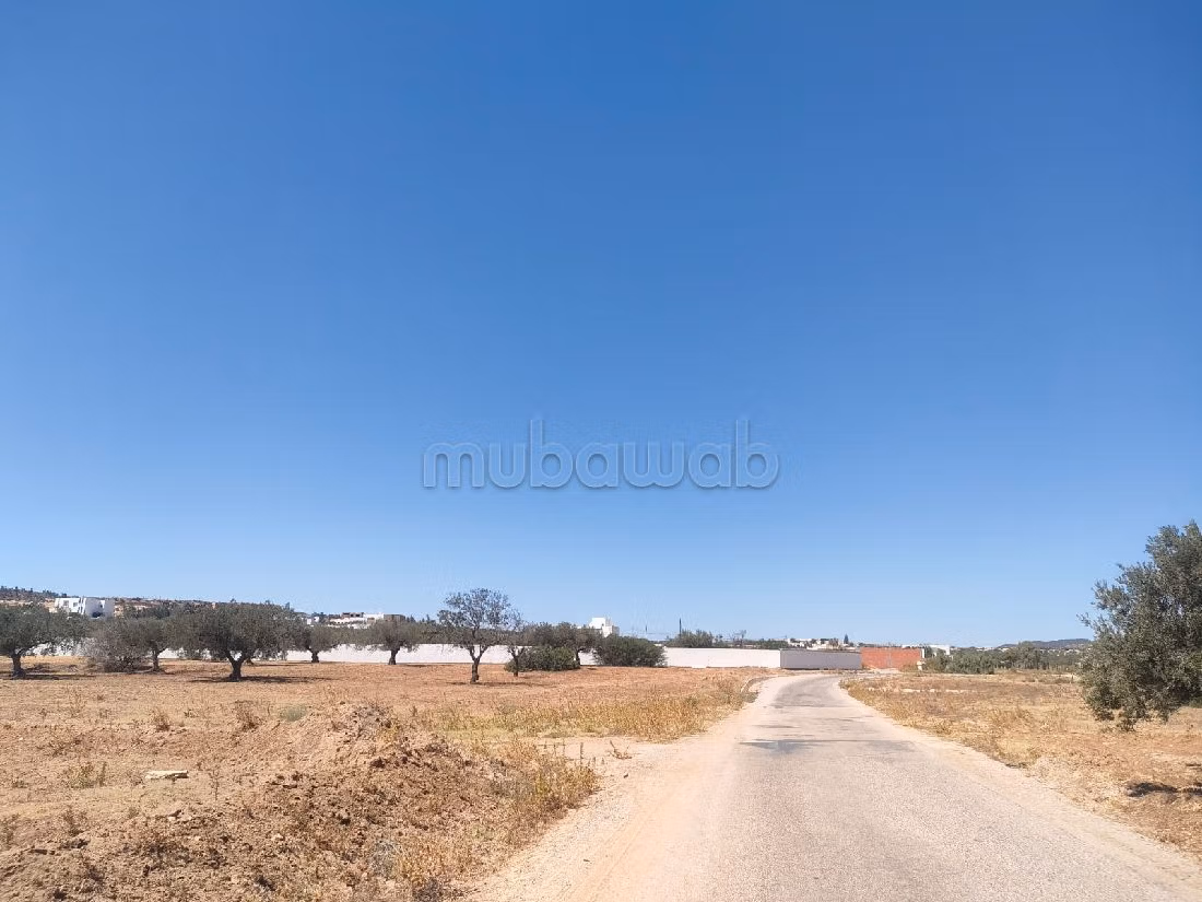 Opportunité: terrain à vendre a Hammamet