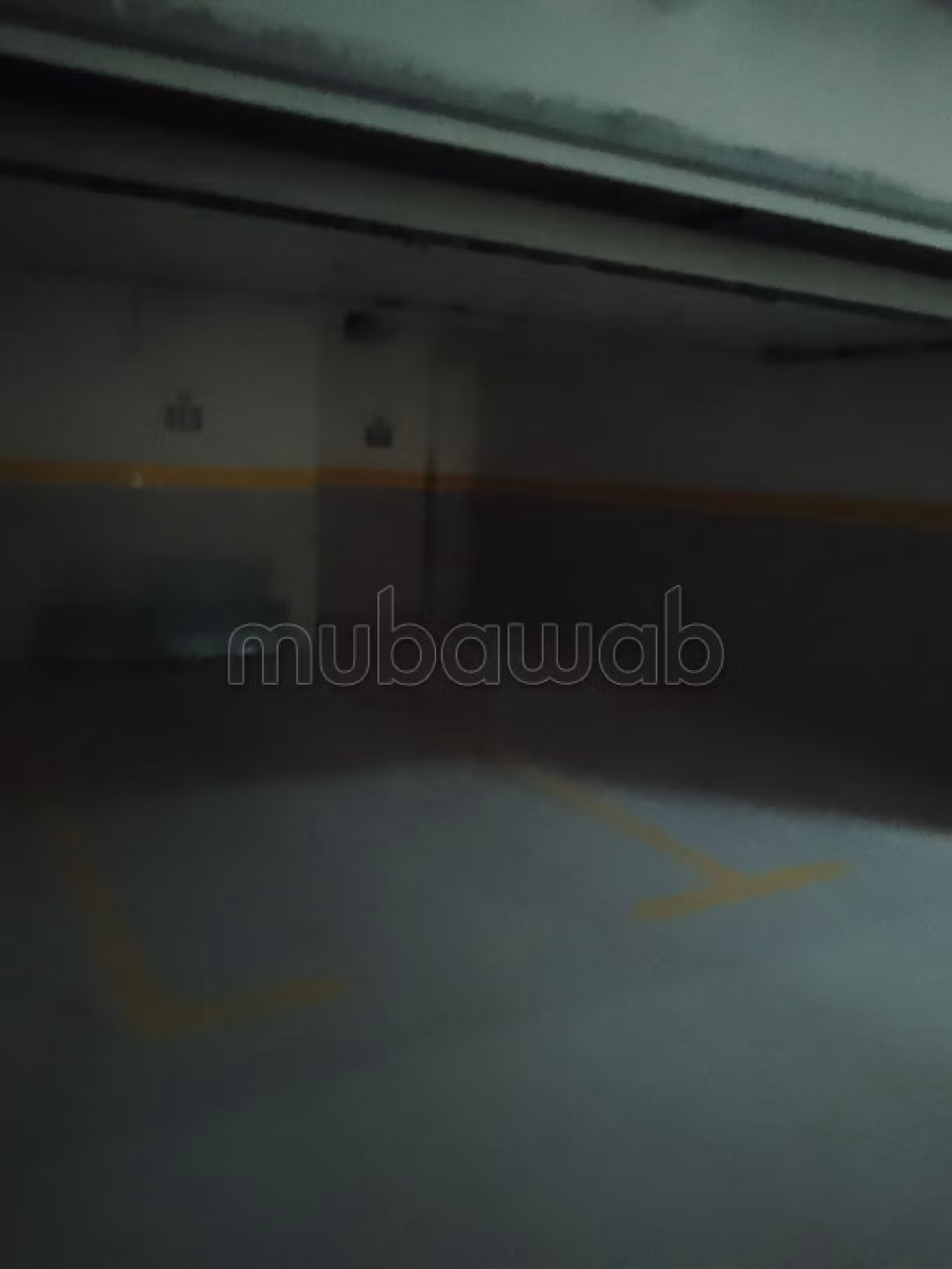 A vendre une villa luxueuse avec jardin au lac2