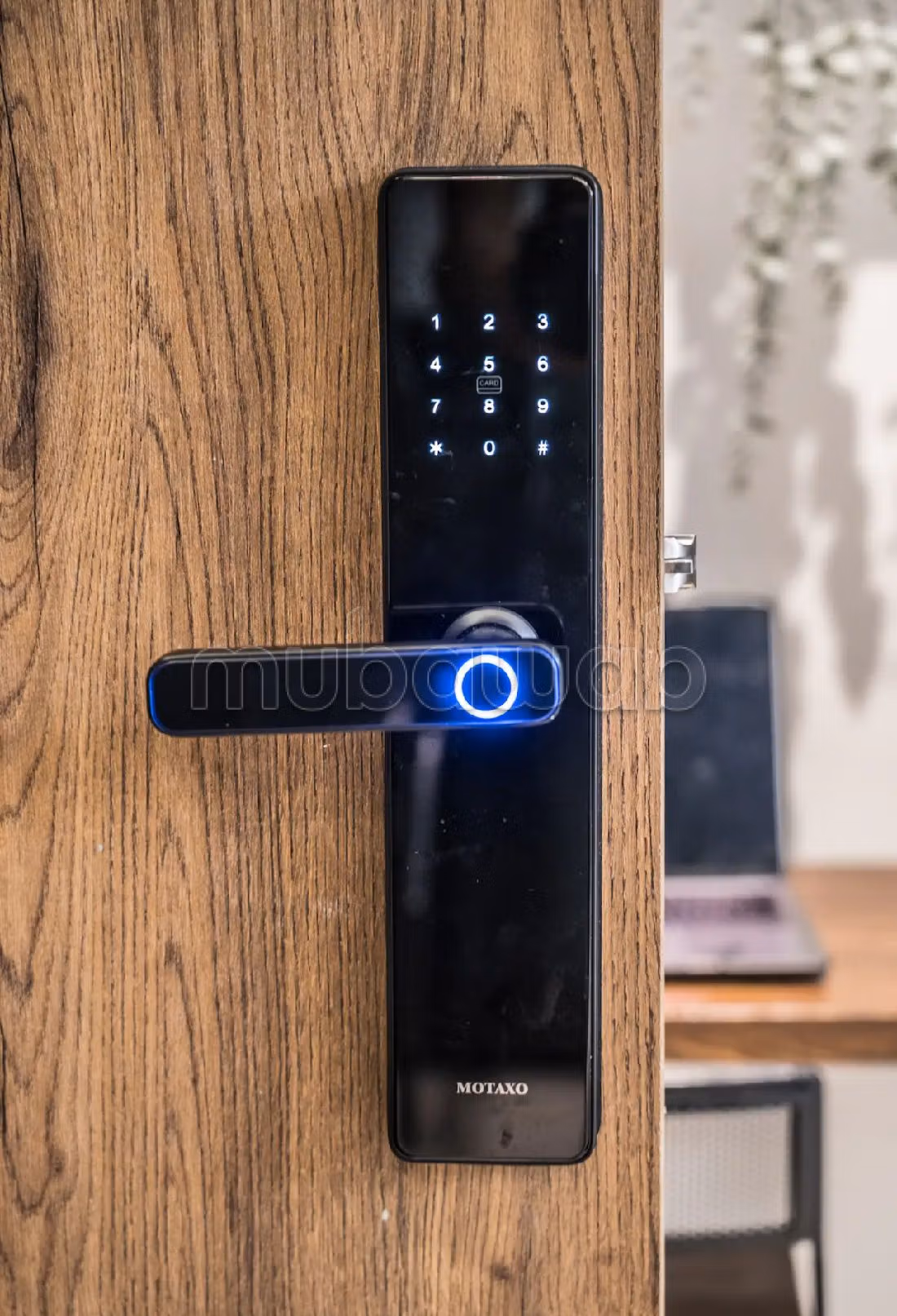 Splendido appartamento in affitto a Maârif Extension. 1 locale. Giardino e terrazzo