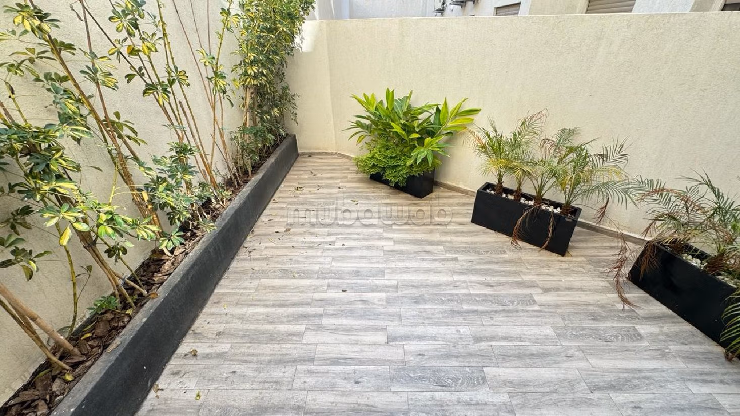 Superbe appartements et studios à vendre à Beauséjour vers CFC et AERIA MALL