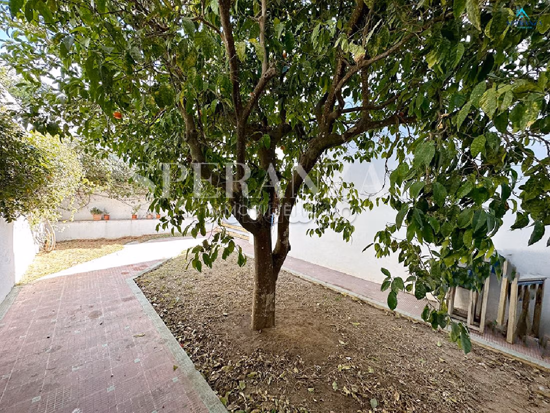 Location Duplex Luzei S1