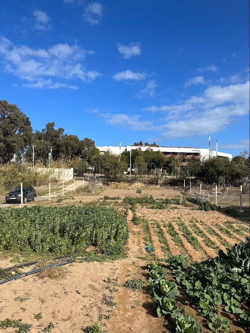 Land for sale. Area of 946 m²