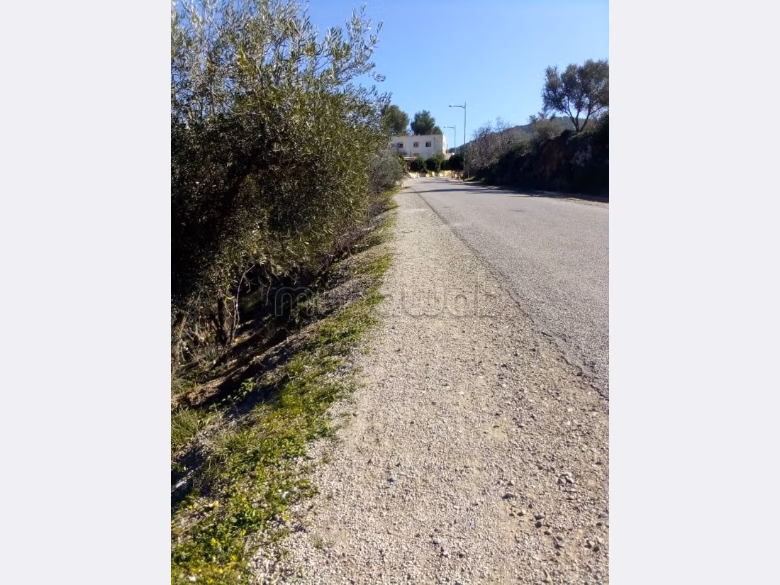 Land for sale. Small area 3500 m². 