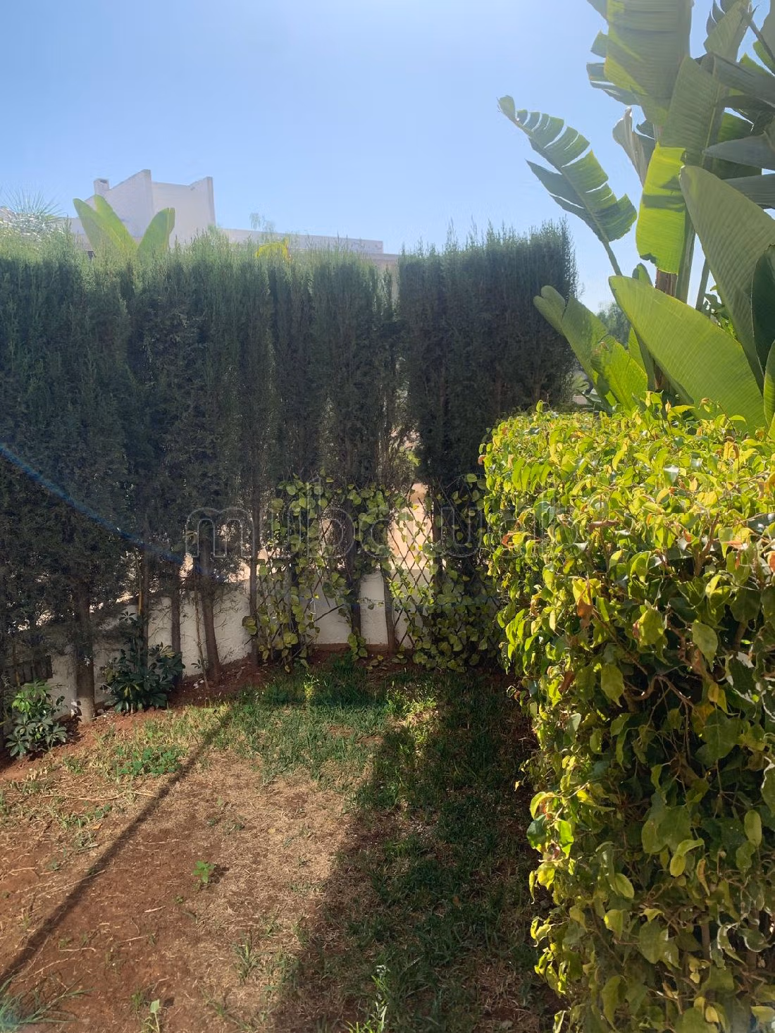 شقة رائعة للإيجار ب المدينة الخضراء. 2 غرف رائعة. حديقة ومرآب